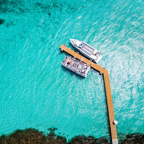 Božić u parku Garrafon Reef: tropska zemlja čudesa