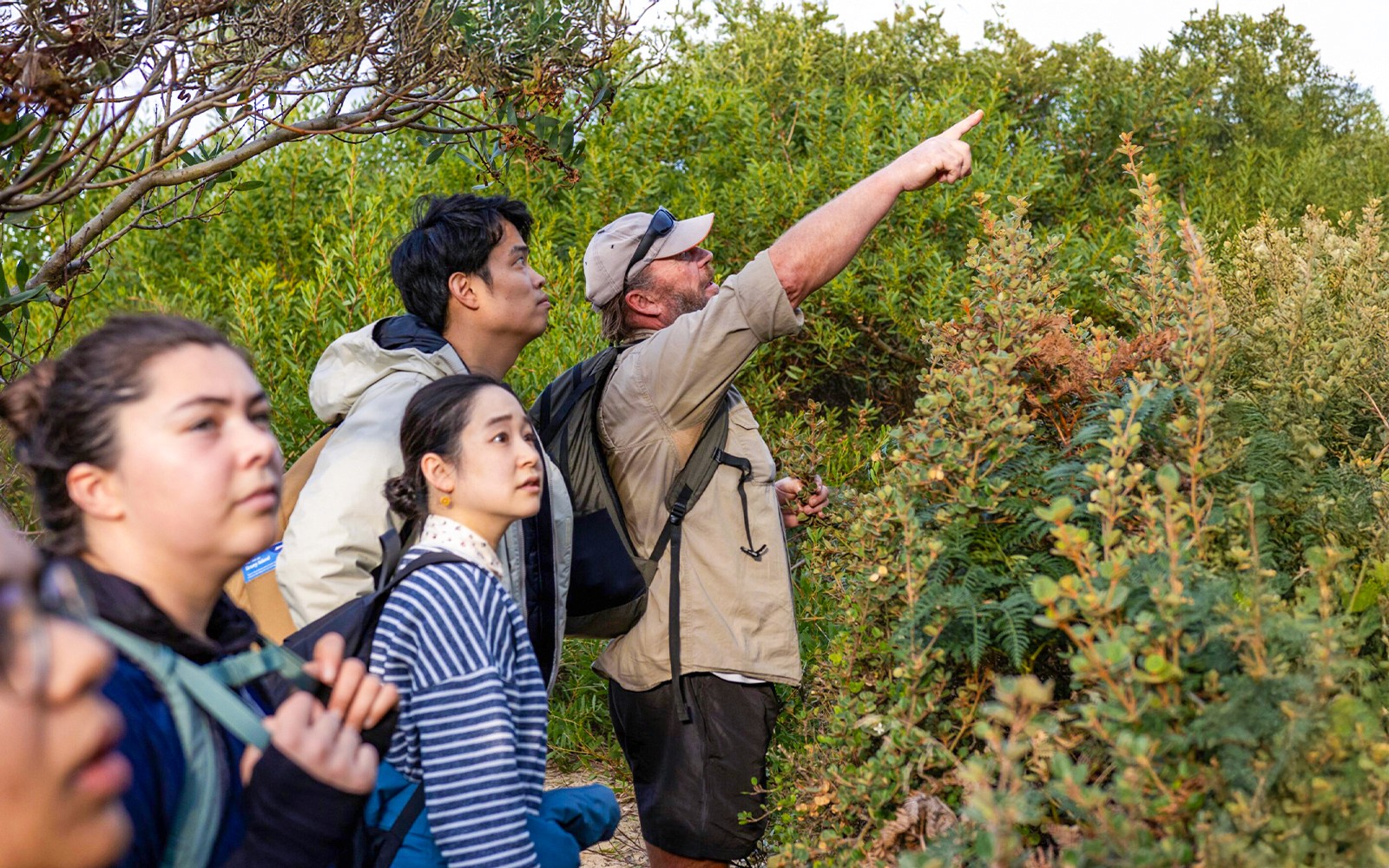 Vodič kroz Tasmaniju: Divljina, Hrana i MONA