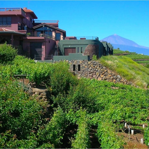 Božić na Tenerifima: sezona prisutnosti i avanture