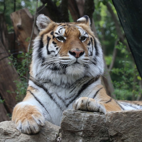 Istražite vodeće utočište za divlje životinje u Pistoiji