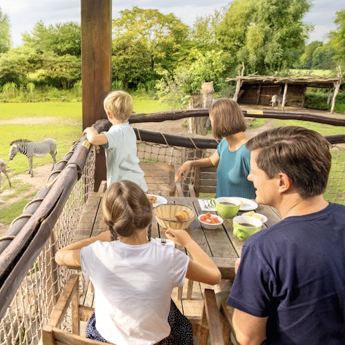 Božić u Leipzigu: Smirujući kontrolni popis korak po korak za zimske čarolije u 2025.