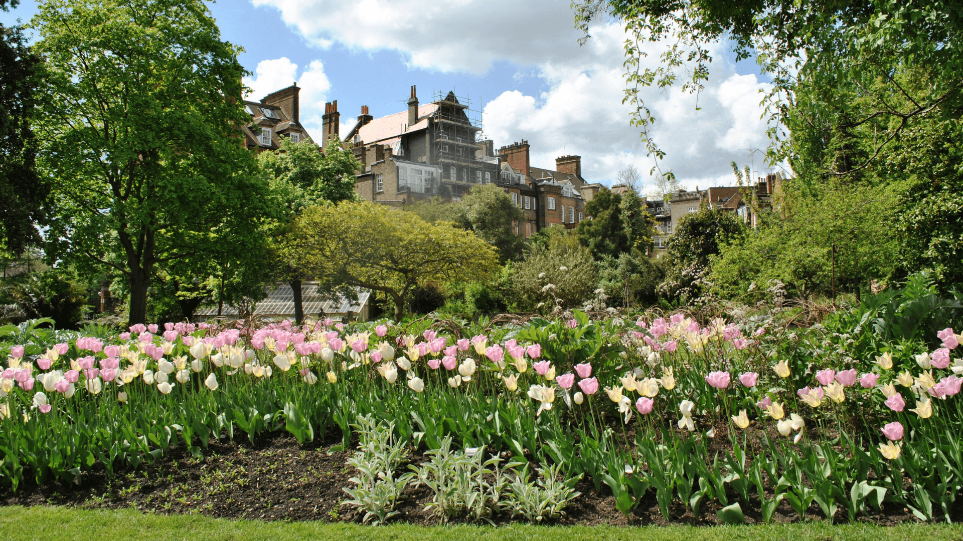 Les Jardins Secrets de Londres : Oasis Cachées