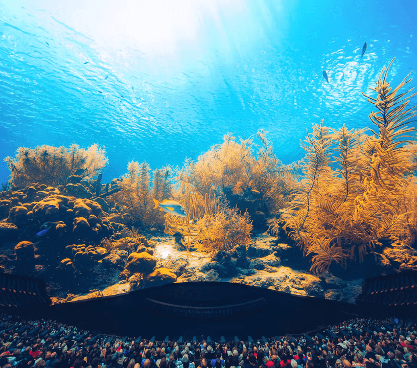 The Sphere Las Vegas presentando Postcard from Earth de Daren Aronofsky.