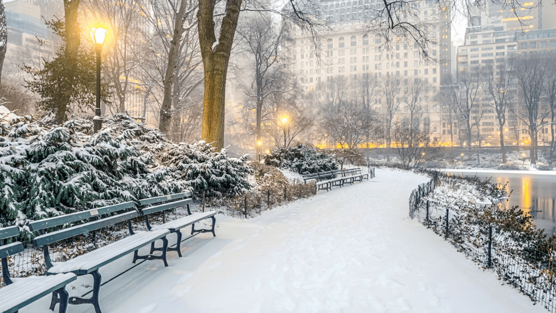 Winter Magic: Your Complete Guide to Central Park Activities