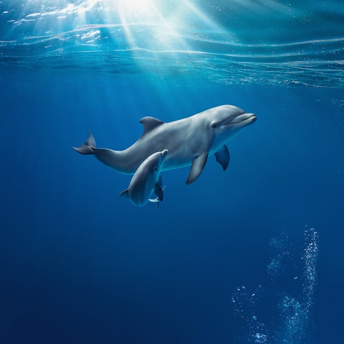 Vodič za generaciju Z kroz autentična iskustva u Genovi