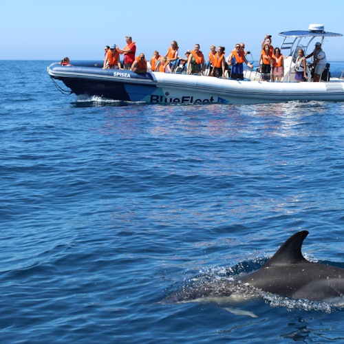 Konwergencja Technologii i Dobrostan Oceaniczny