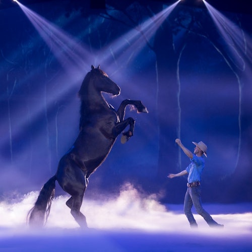 Discover the Australian Outback Spectacular this Christmas in Oxenford—an epic dinner show experience with Outback spirit and holiday cheer.