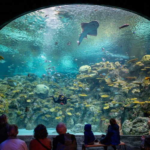 Putovanje kroz seattleska morska blaga