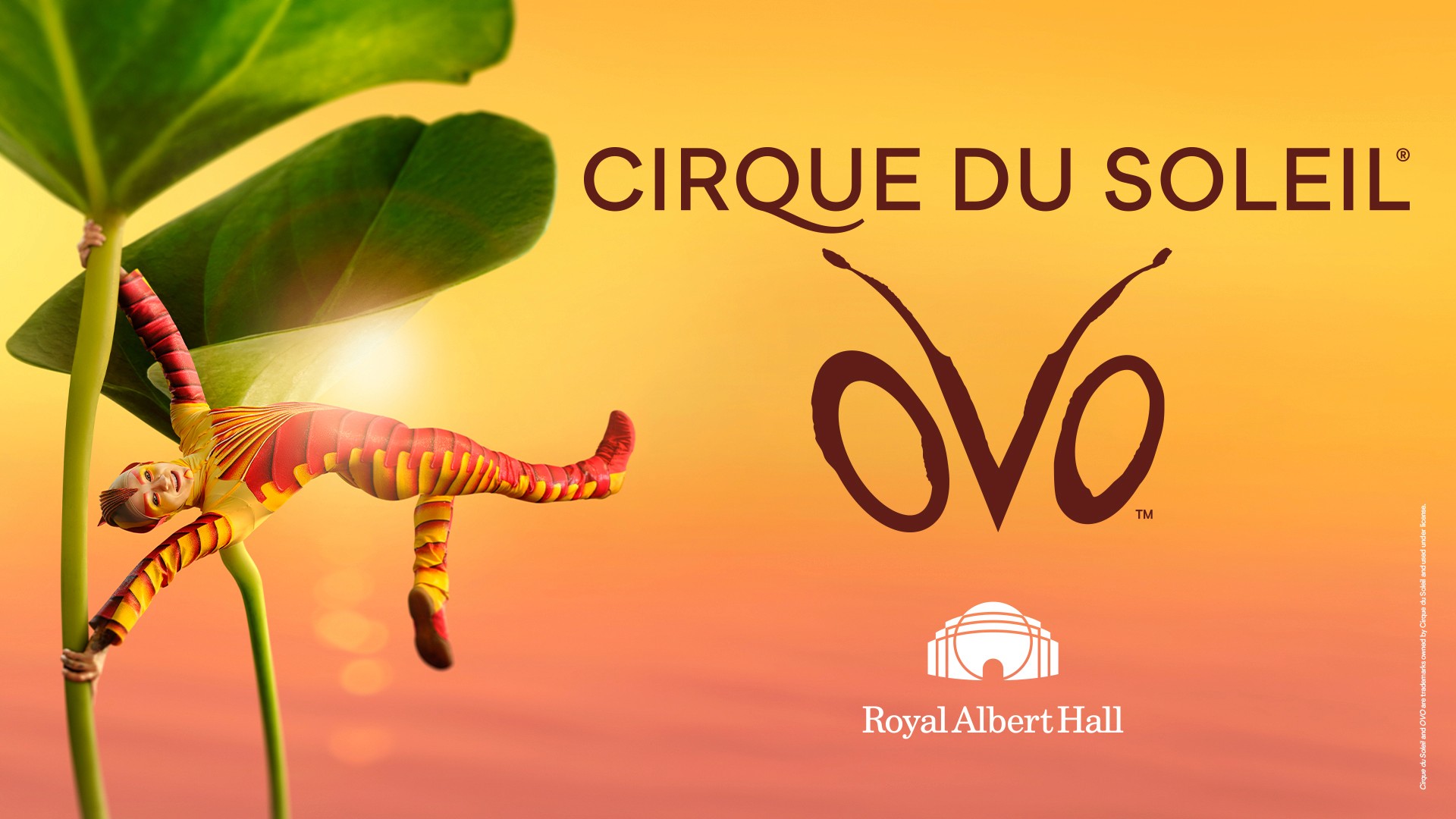 Cirque du Soliel OVO at London's Royal Albert Hall