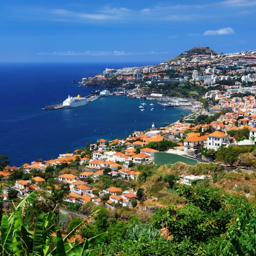 POV: Upravo ste sletjeli u Funchal, a cijeli se otok pretvorio u božićni meme